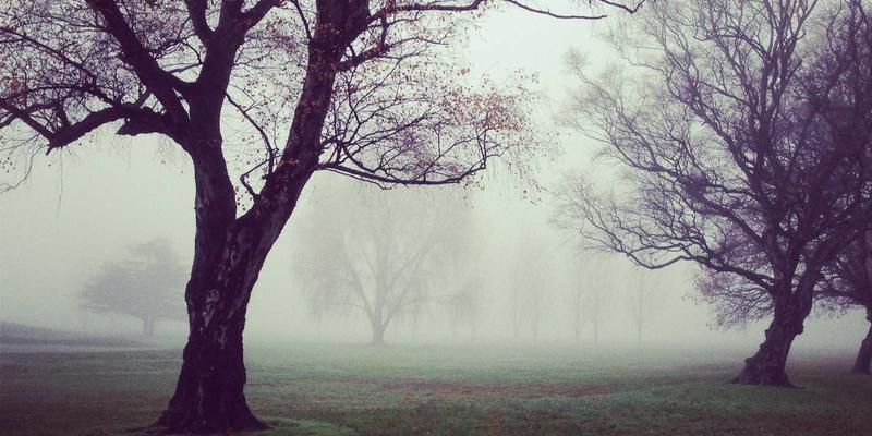 从实验室到餐桌:揭秘天意食品研发中心如何用科技重塑健康调味品版图