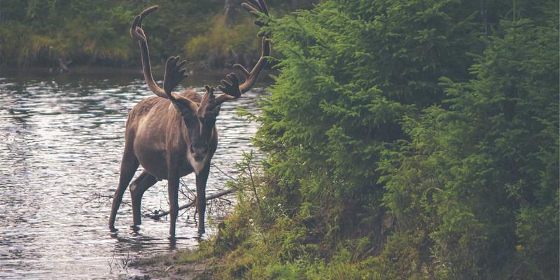 从消费者到共创者:天意食品如何用会员体系重塑农产品价值链