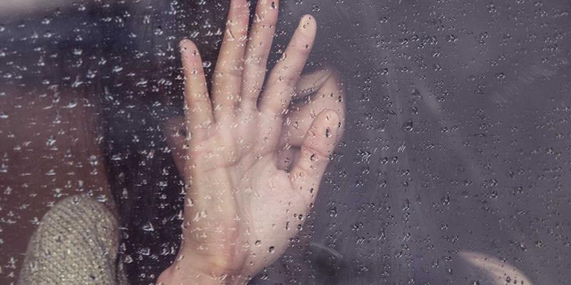 从源头到餐桌:天意食品如何以非转基因大豆供应链,重塑健康食品新标准