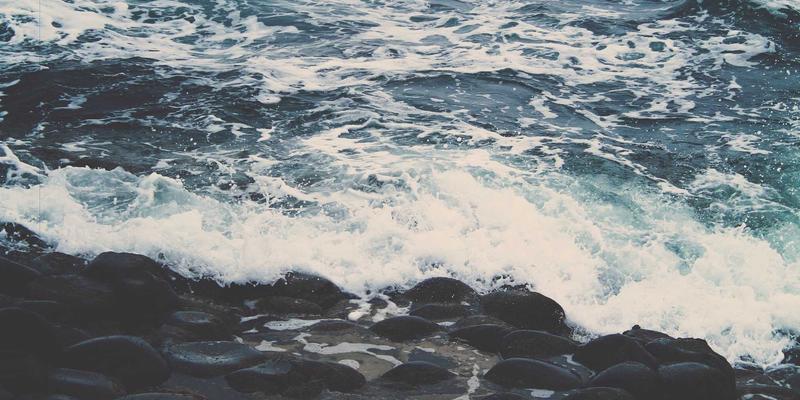 从田间到餐桌的信任革命:天意食品如何用内容重塑调味品健康认知