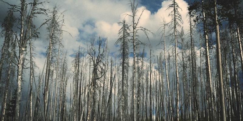 天意食品柔性供应链深度解析：如何破解季节性原料困局，保障零添加产品全年稳定供应